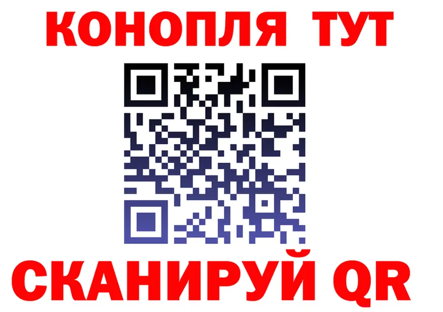 ГАШ Изолятор вход площадка blacksprut Мураши