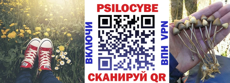 hydra ТОР  Мураши  Псилоцибиновые грибы мицелий 
